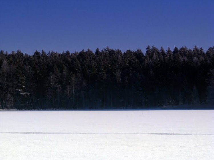 Eesti.jpg