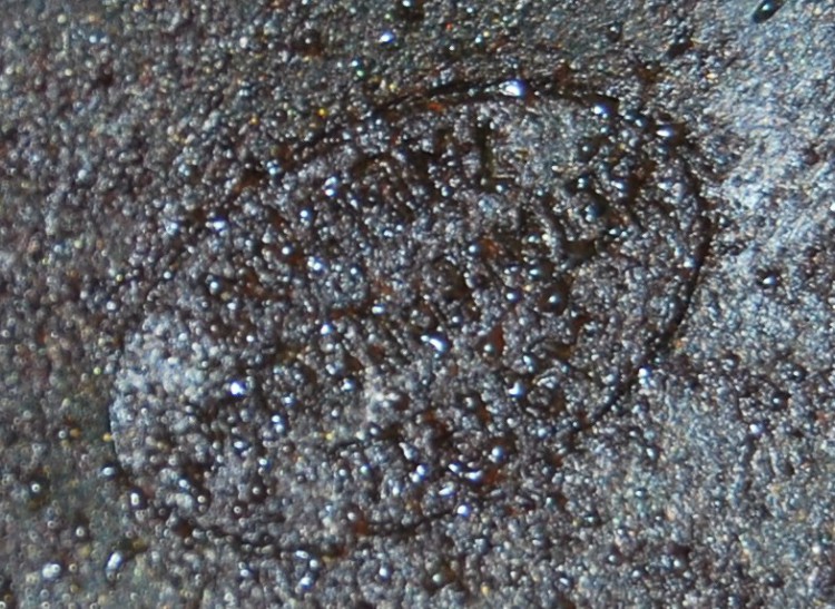 DSC_0001.jpg