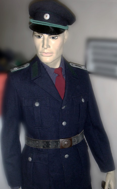 DVP-Kratt.JPG