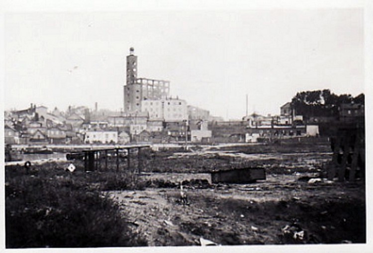 koht309 copy.jpg