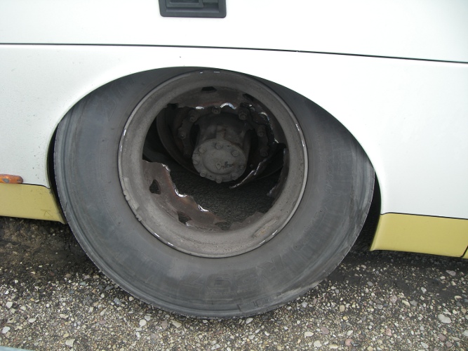 Pedja jõel (1).JPG