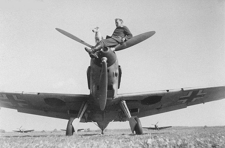bf109e1perro9hj.jpg