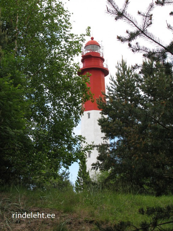 IMG_7447.jpg