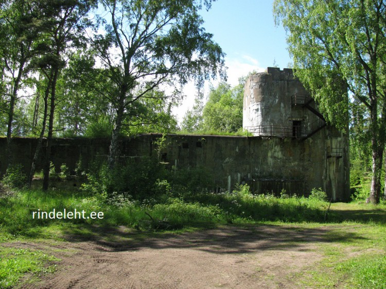 IMG_7474.jpg (370.57 KiB) Vaadatud 12208 korda IMG_7474.jpg