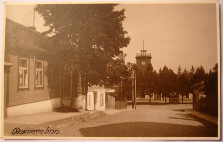 SNC10007.JPG