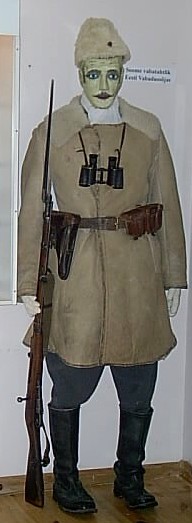 Tõrs5.jpg