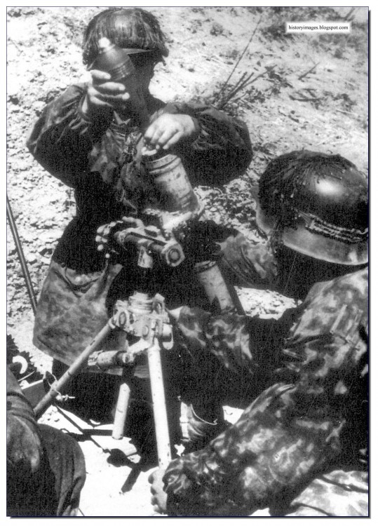 narva1.jpg
