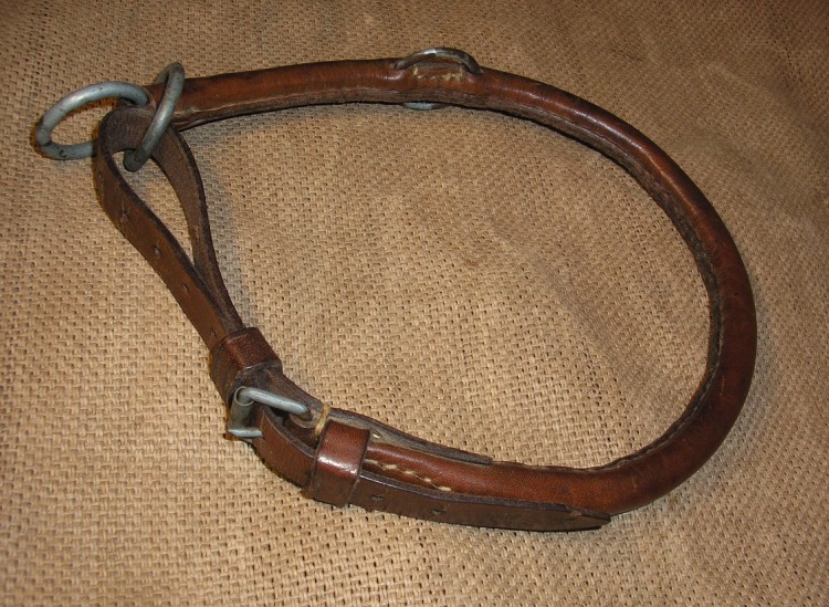kutsa1.jpg