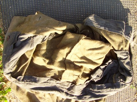 P1017953.JPG