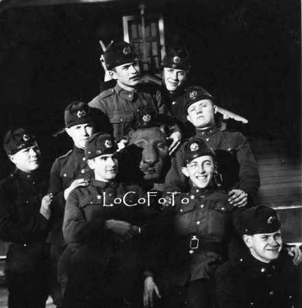 Lõvi.JPG