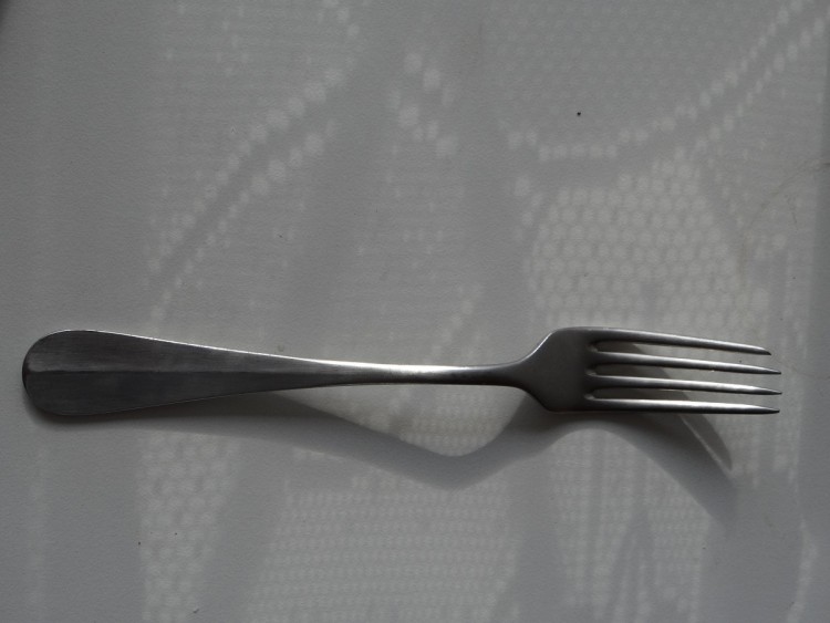 DSC01323.jpg