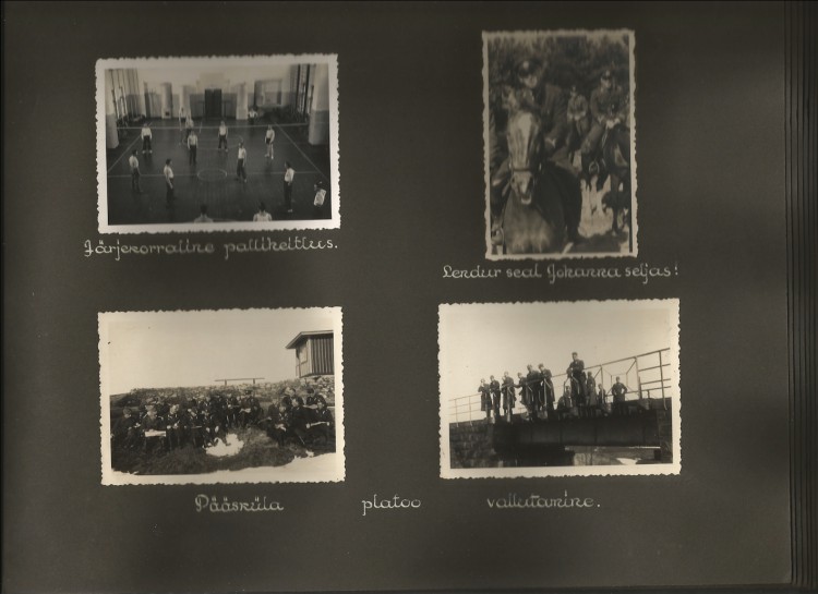 Scanned Image-13.jpg