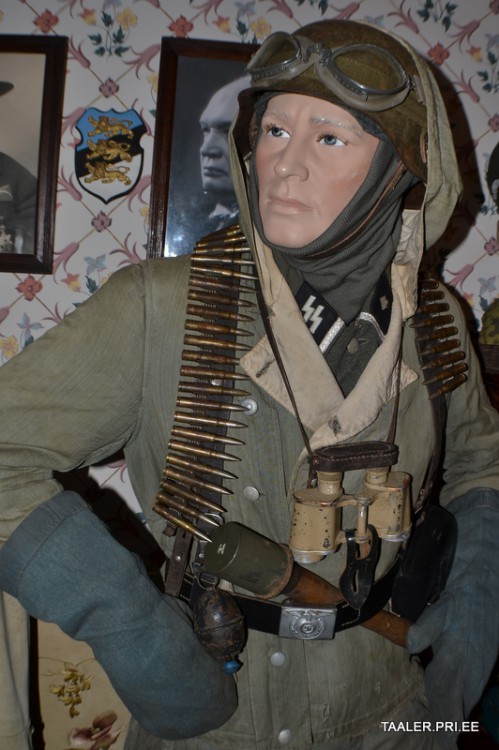 gfhtehgtj-1.JPG