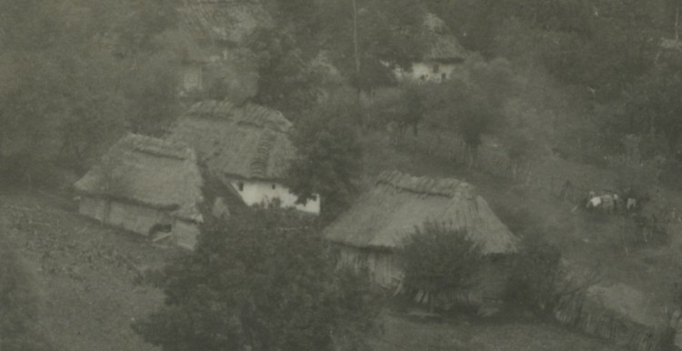 4.JPG