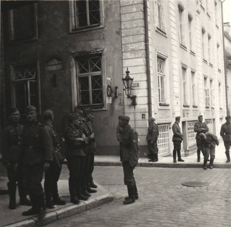 tallmündi.jpg