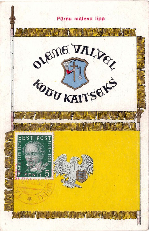 Kaitseliidu Pärnu Maleva lipp.jpg