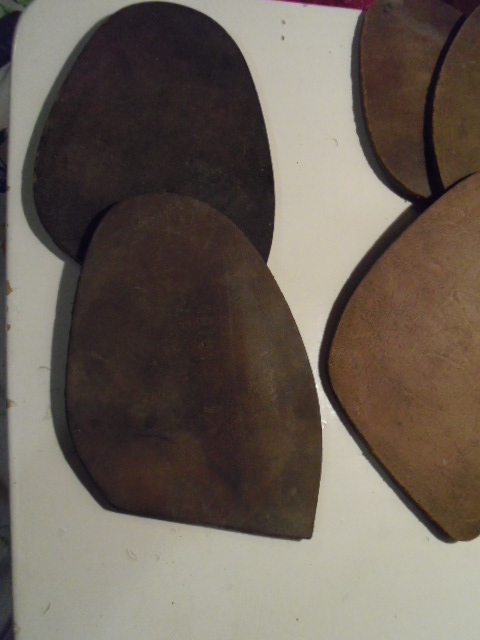 IMGP0313.JPG