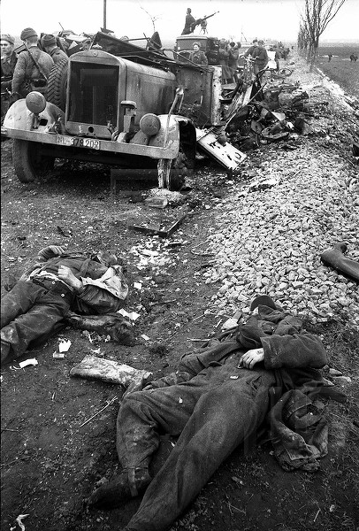 Окружение юго-западнее г.Оппельн. Разбитые немцы и техника близ г. Нойштадт - деревня Гросс- Шнеллендорф. 18-21 марта 1945г..jpg