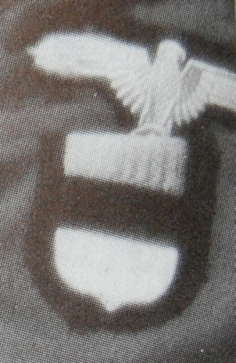 zetoonid 051.jpg