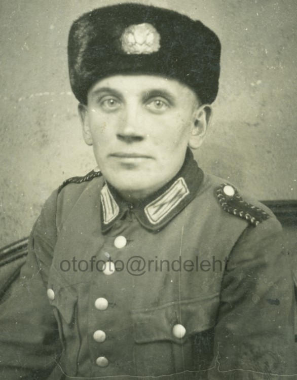 otofoto_f2679.jpg