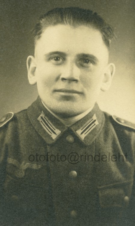 otofoto_f2729.jpg