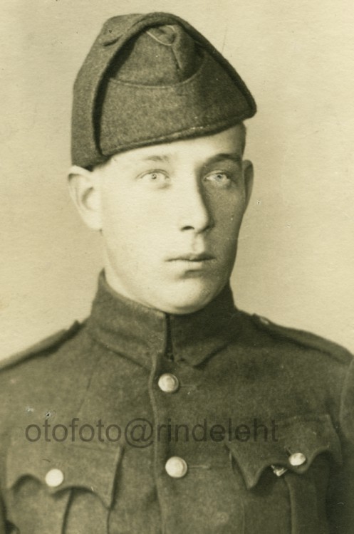 otofoto_f2740.jpg