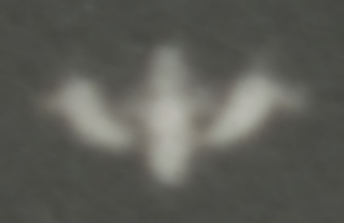 New Bitmap Imagуууe (2).jpg