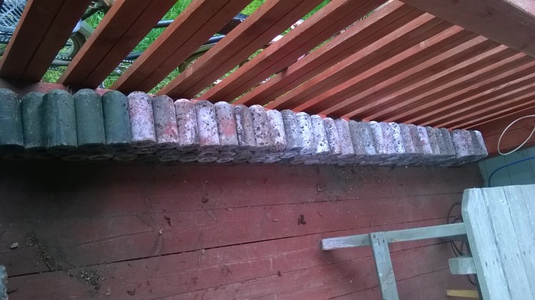 WP_20150518_001.jpg