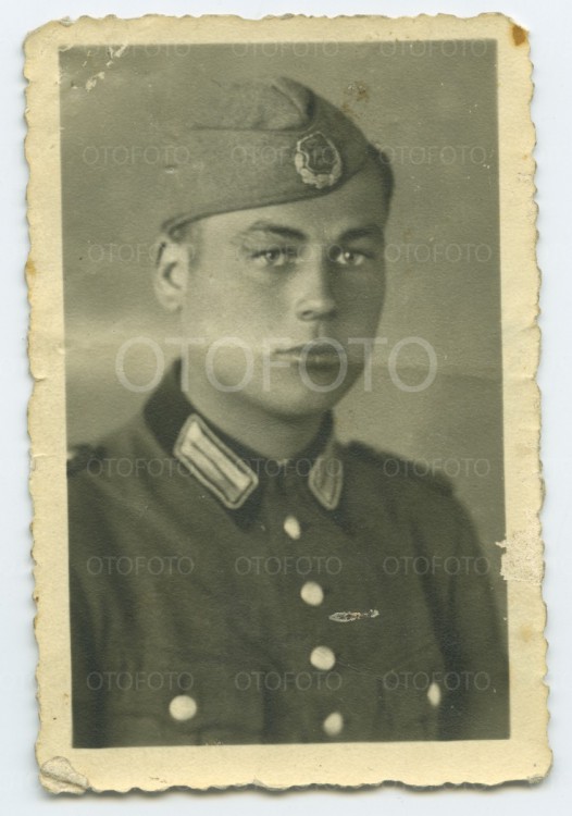 otofoto_f2095.jpg