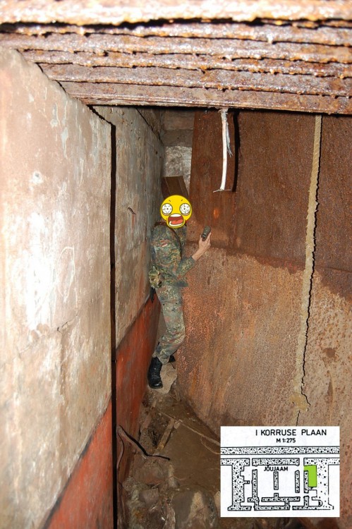 x5.jpg