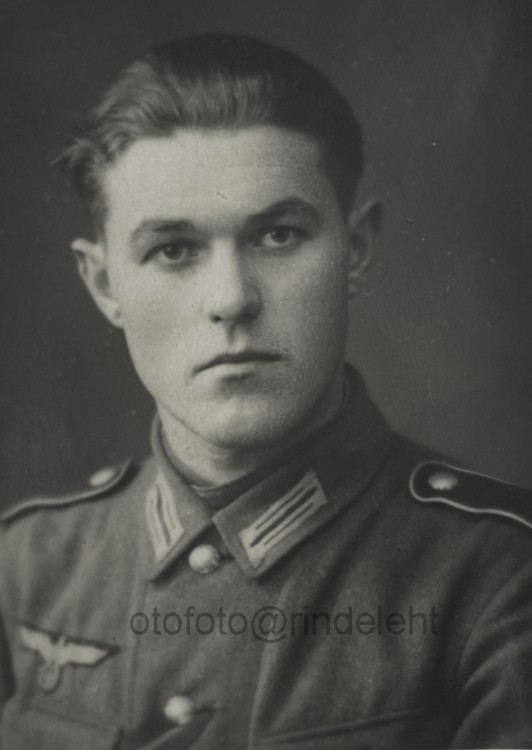 otofoto_f3319.jpg