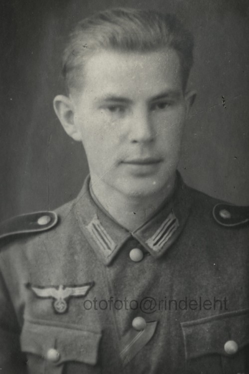 otofoto_f3402.jpg
