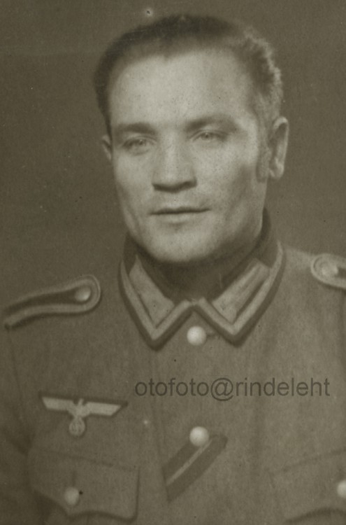 otofoto_f3450.jpg