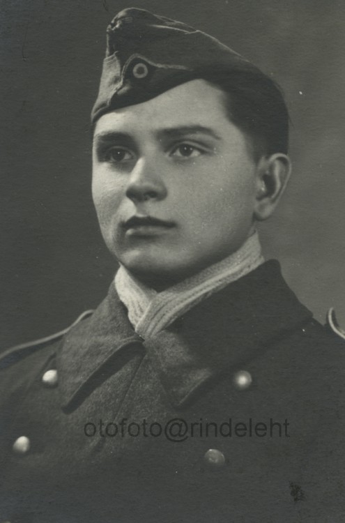 otofoto_f3648.jpg