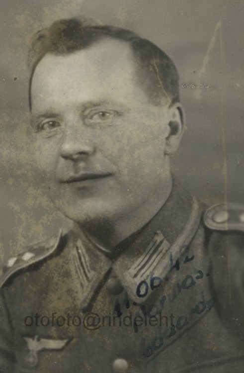 otofoto_f3650.jpg