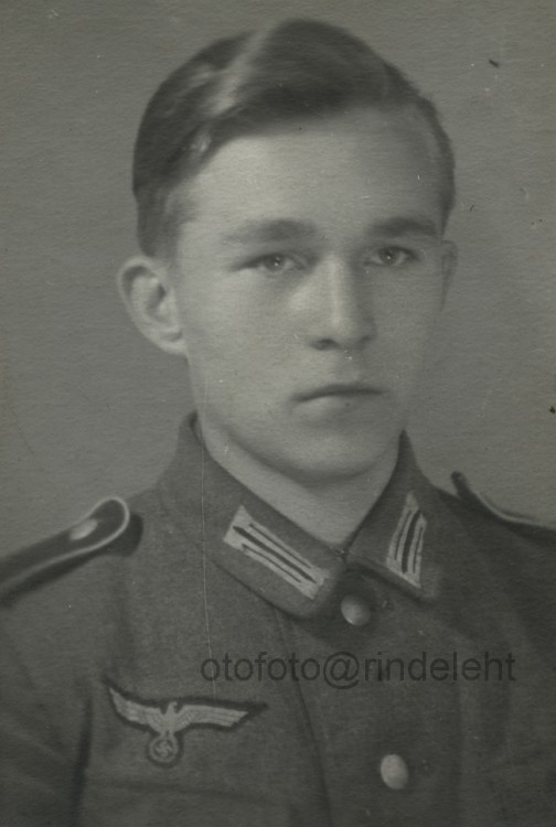 otofoto_f3659.jpg