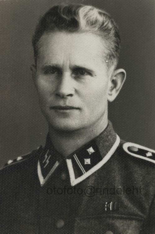 otofoto_f3690.jpg