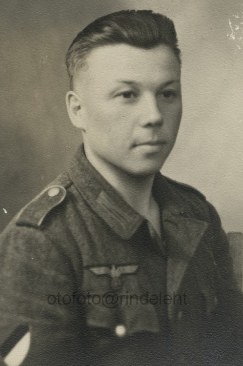 otofoto_f3721.jpg