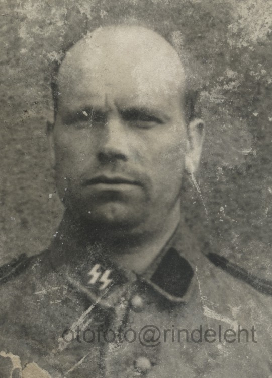 otofoto_f3759.jpg