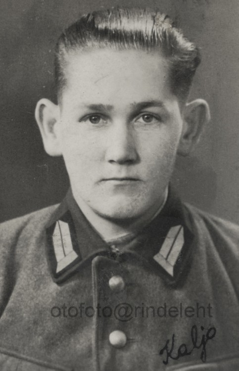 otofoto_f3777.jpg