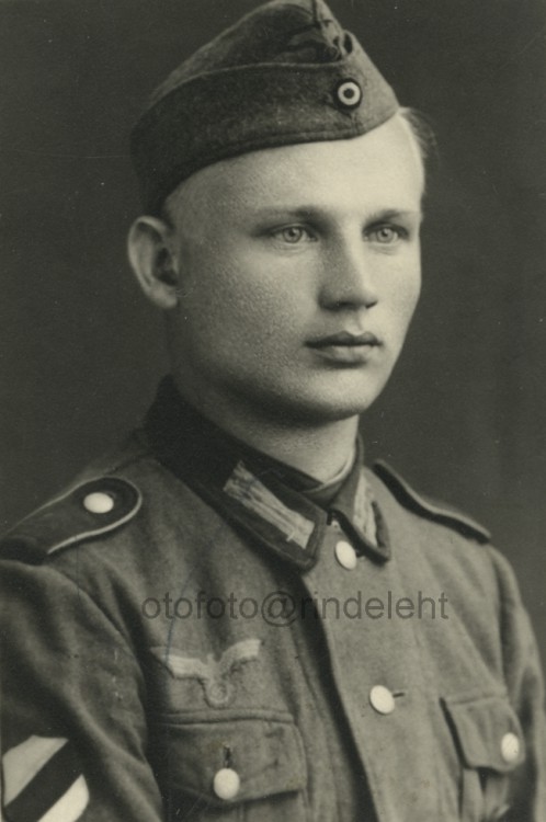 otofoto_f3778.jpg