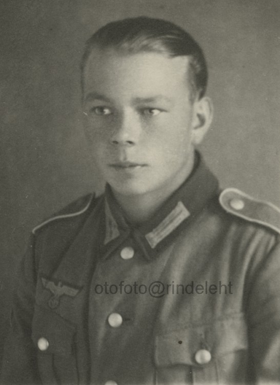 otofoto_f3779.jpg