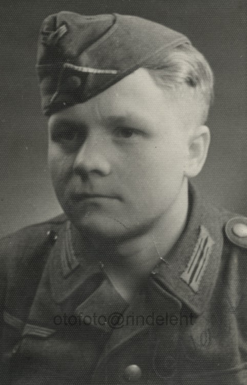 otofoto_f3782.jpg
