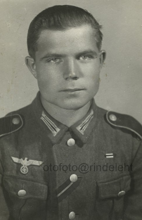 otofoto_f3787.jpg