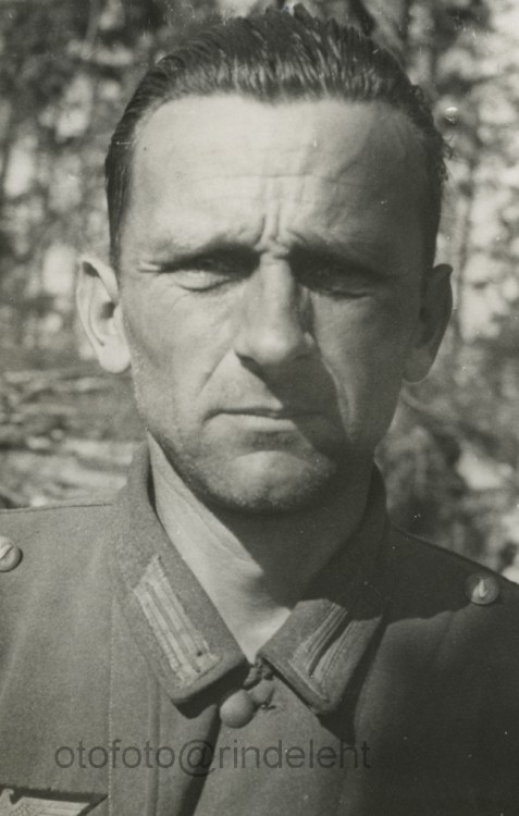 otofoto_f3816.jpg