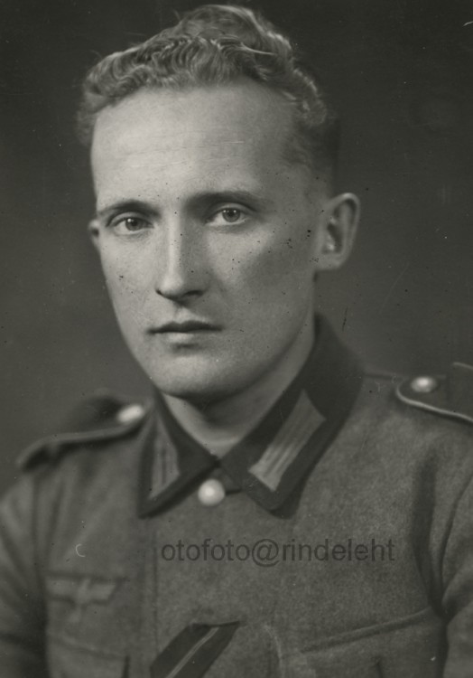 otofoto_f3817.jpg