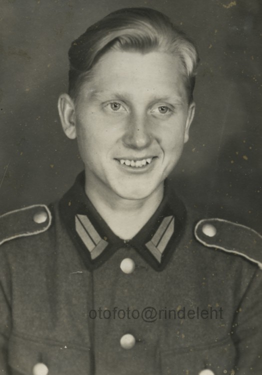 otofoto_f3864.jpg