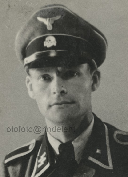 otofoto_f3869.jpg