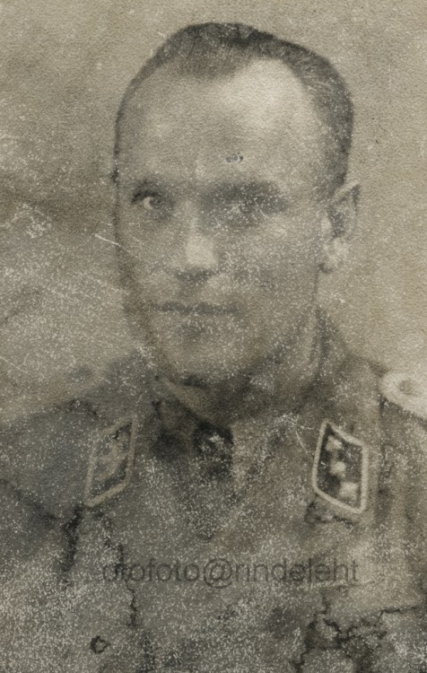 otofoto_f3968.jpg