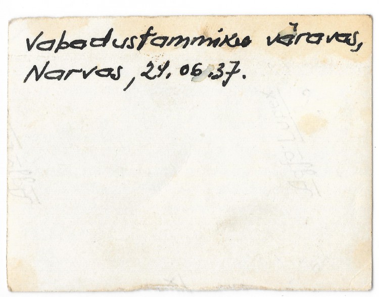 narwa20003.jpg
